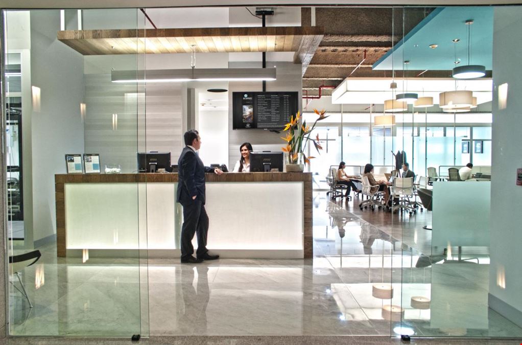 IOS OFFICES Corporativo CEO