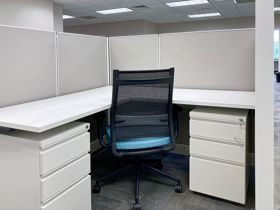 PA, Doylestown - Easton Rd