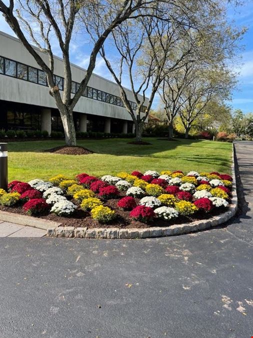 The Orchard Co-Working Spaces