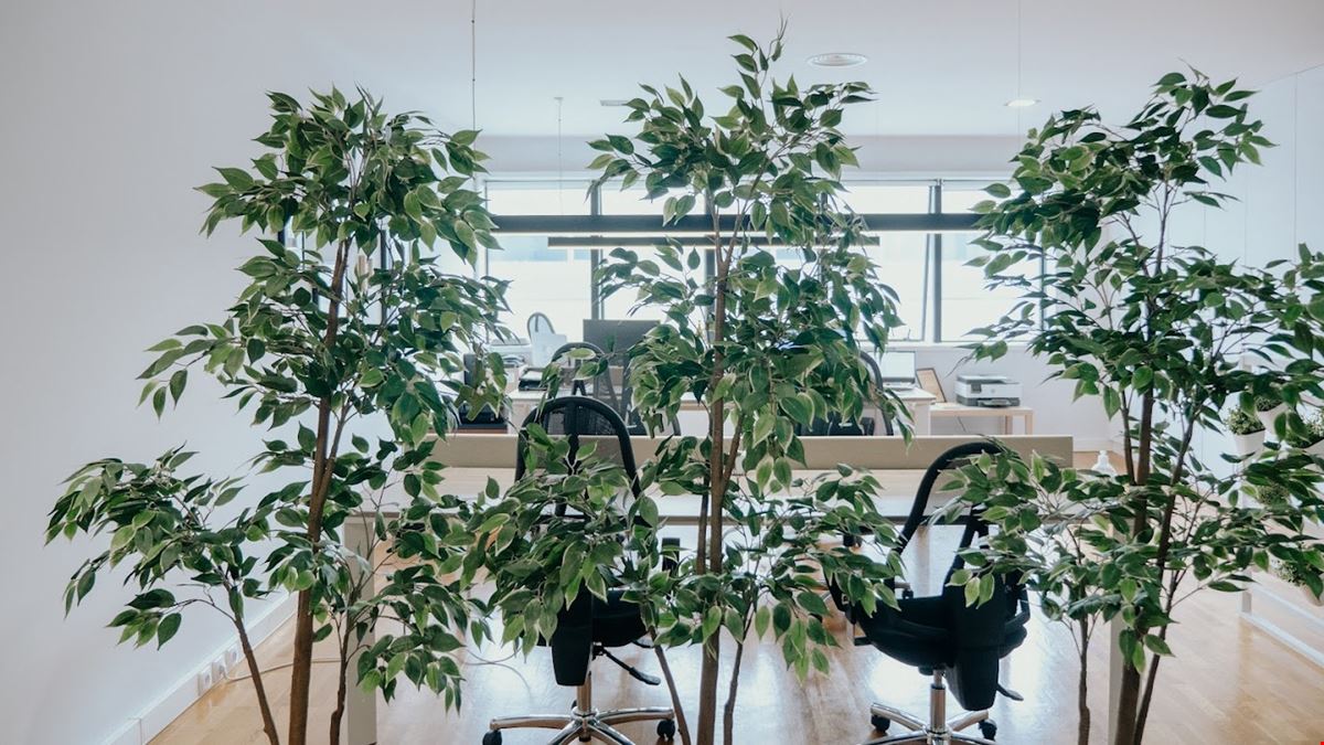 Mydesk Coworking Solutions