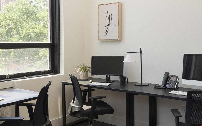 Bond Collective Vinegar Hill