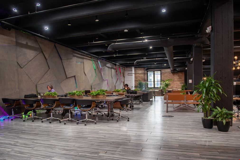 CTRL Collective Pasadena