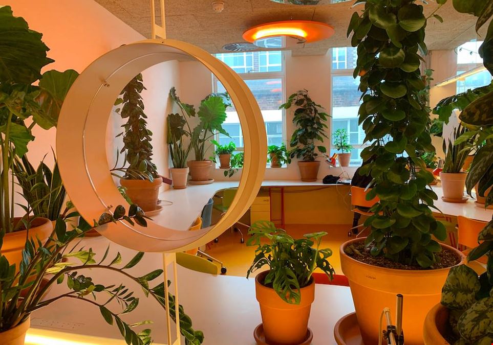 Second Home  - London Fields