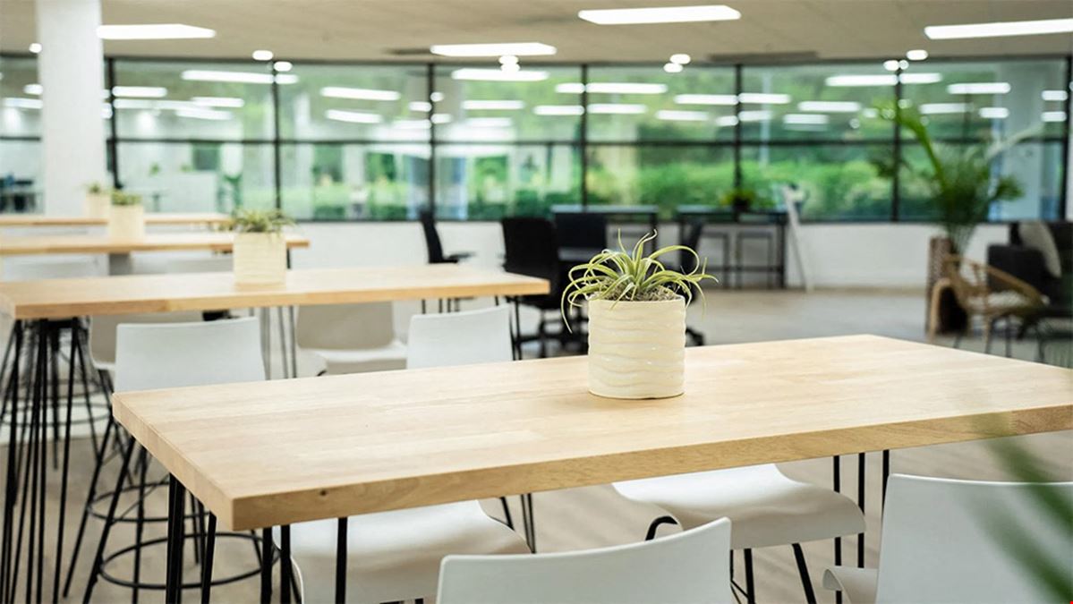 The Connect - Souder Properties