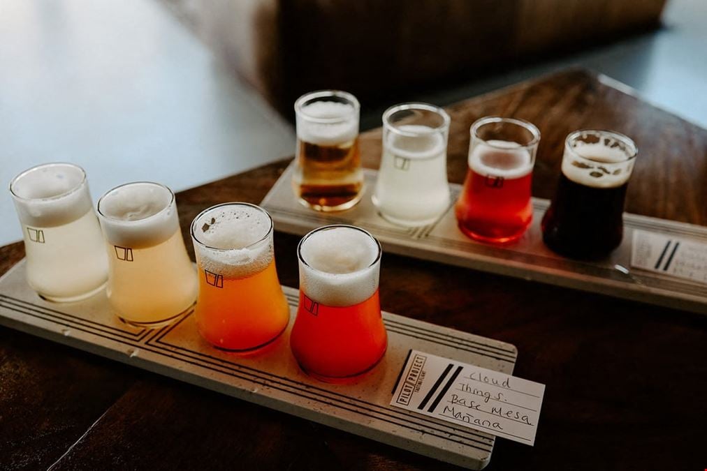 Pilot Project - Brewery & Cafe
