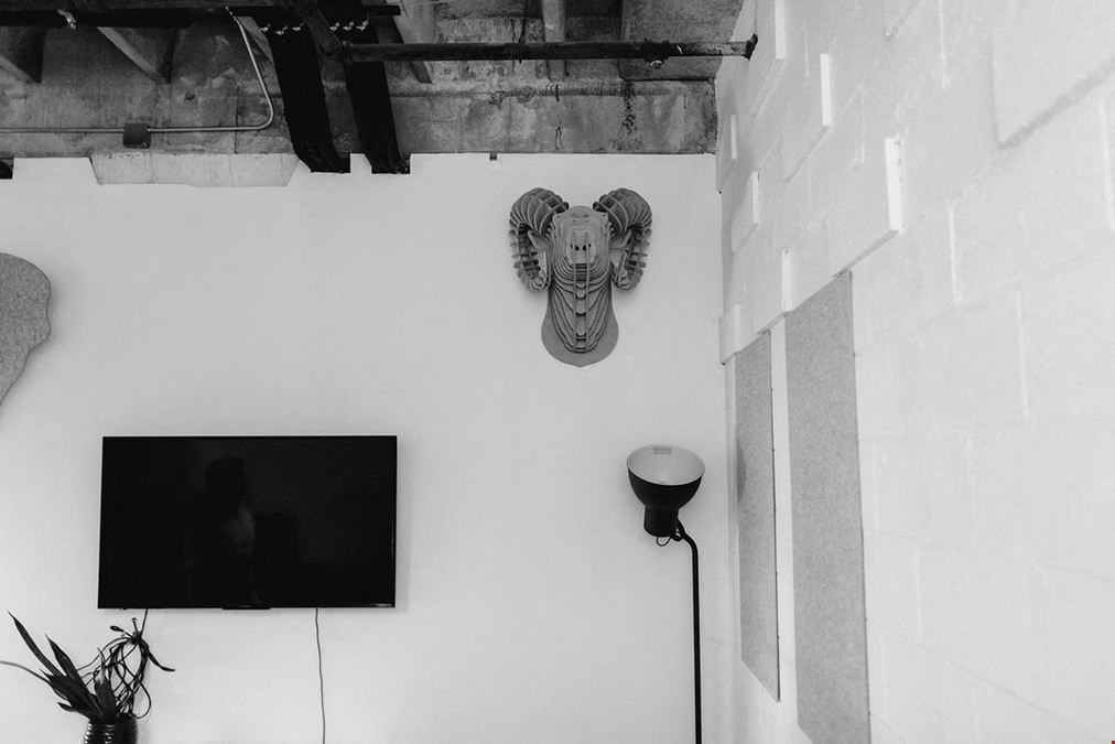 Avocado Room: 8-Person Meeting & Conference Room in Industrial Coworking Space