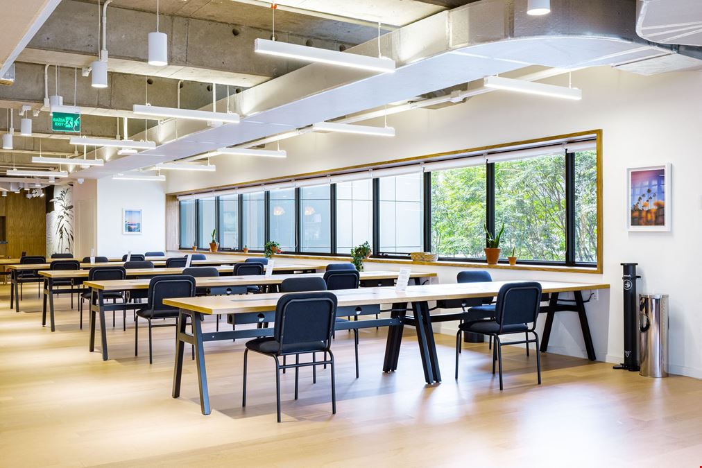 Nações Unidas 12995