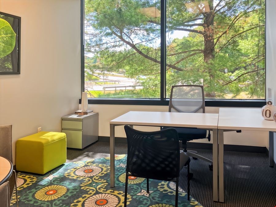 VA, Reston - Sunrise Valley