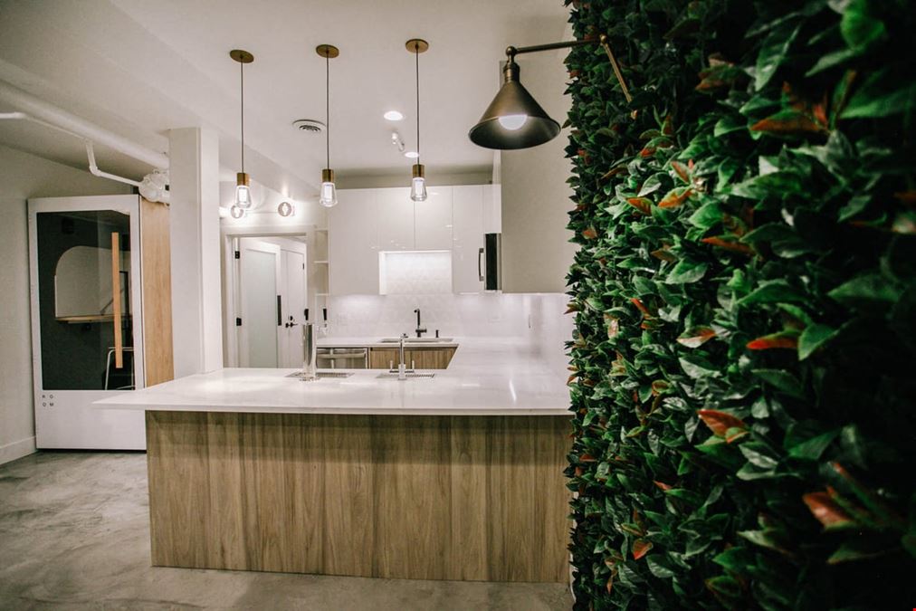 Brick & Mortar - Park Ridge