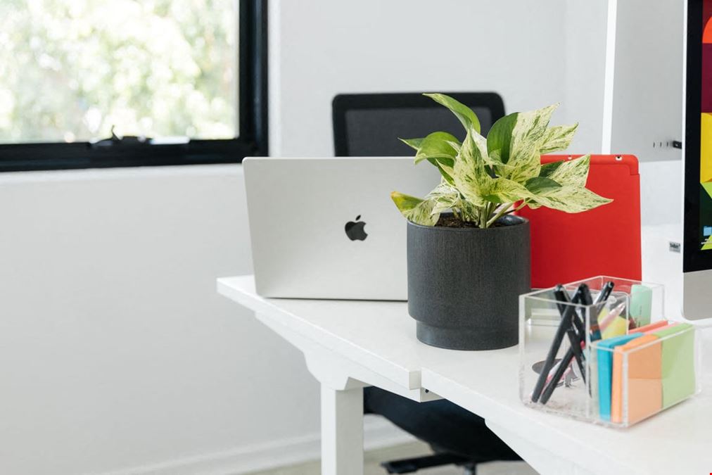 Professional Co-Working Space in Burleigh Heads