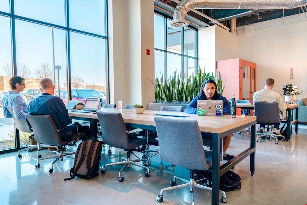 The Root - Fayetteville