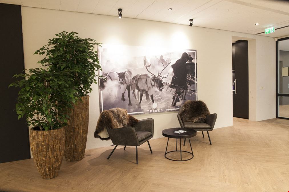 Tribes - Amsterdam Smith