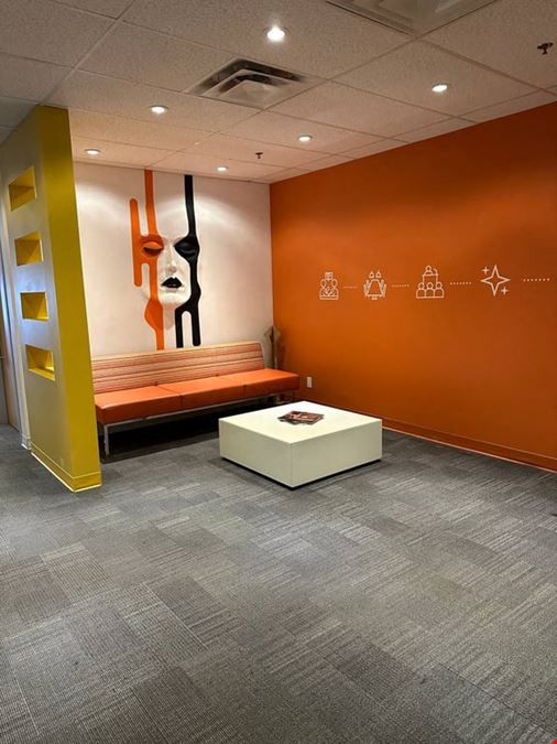 The Curators Hub - Curators Hub