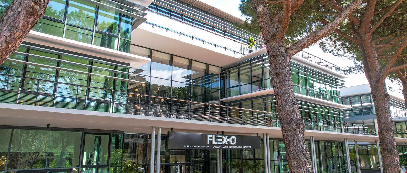 Flex-O - Sophia Antipolis Centrium