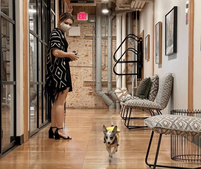 Homestead Coworking Space