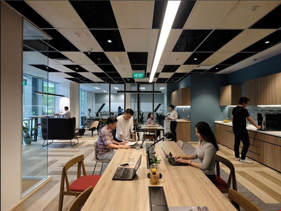 The Work Project - Ascent