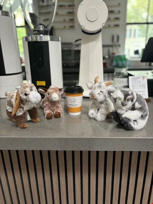 The Link in Old Town