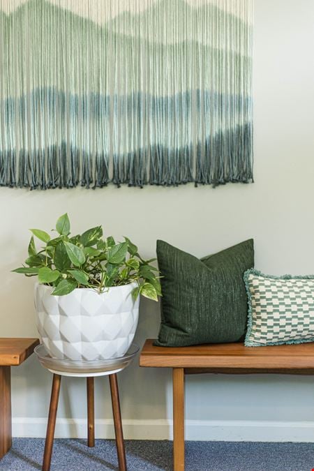 Wildvine Wellness Coworking