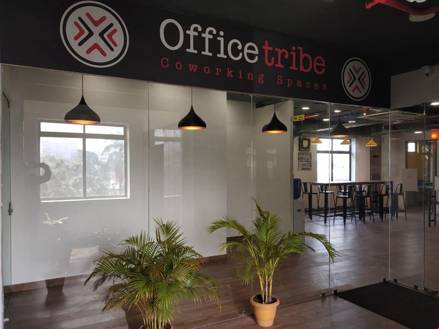 Office Tribe Coworking