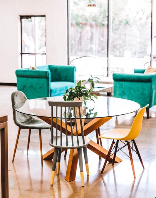 The Living Room
