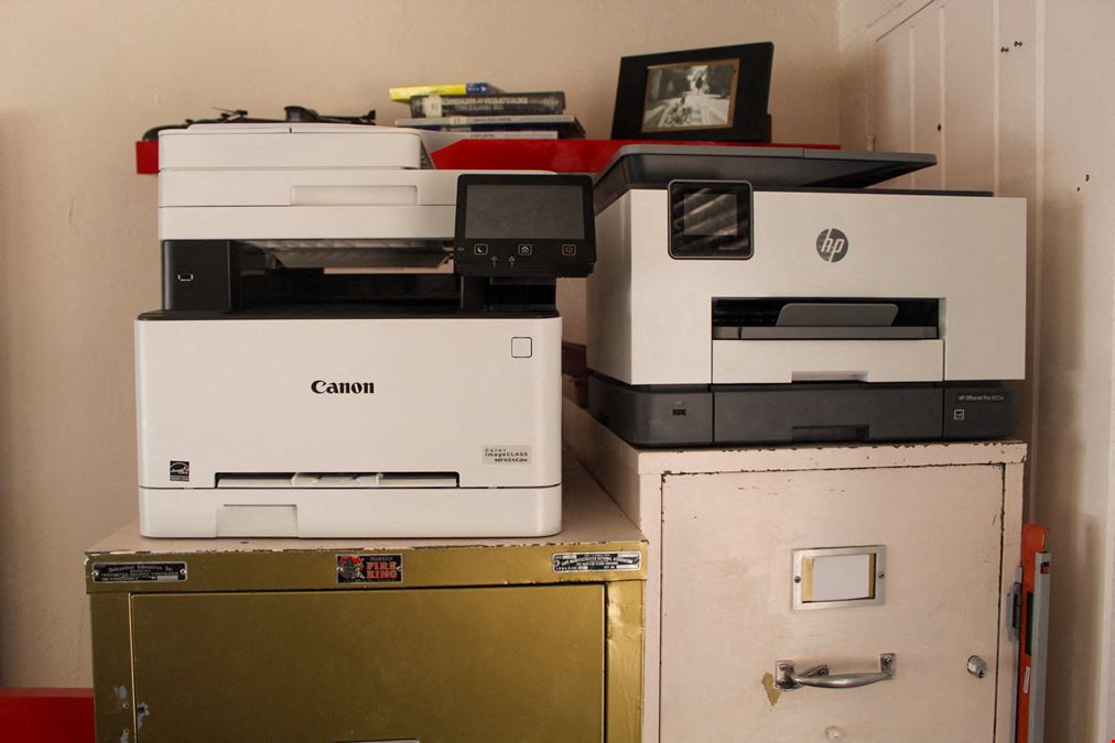 Black Cactus Twentynine Palms