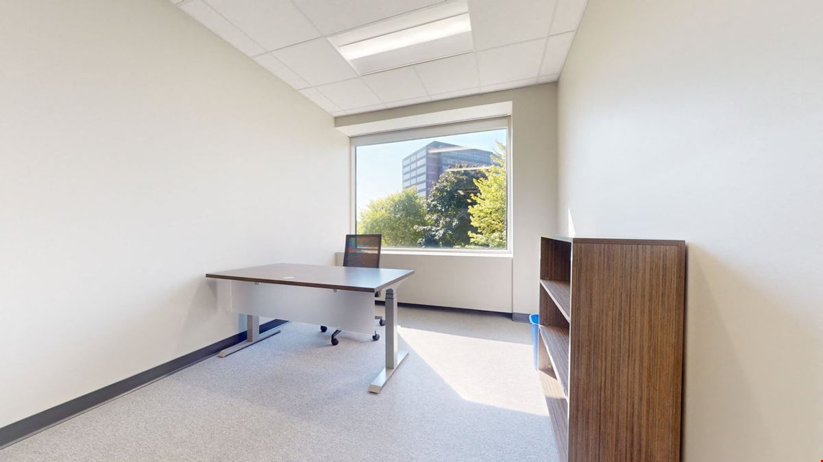 Suite 11