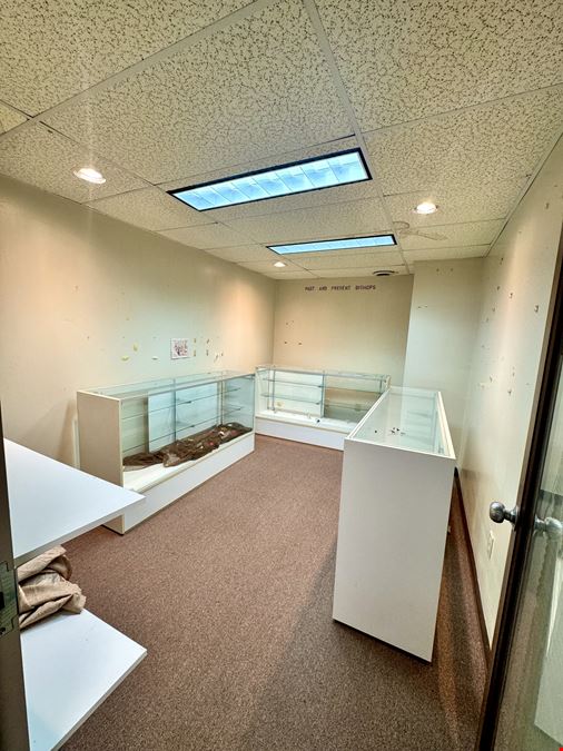 One Village Alliance, Freedom