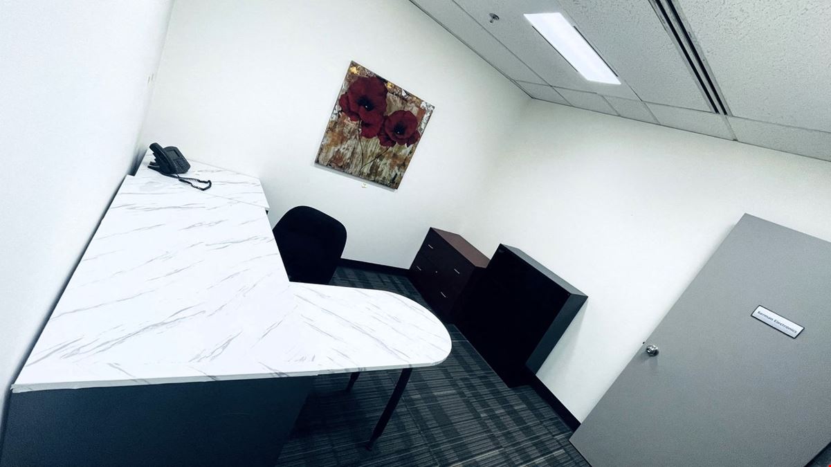 1163 Private office