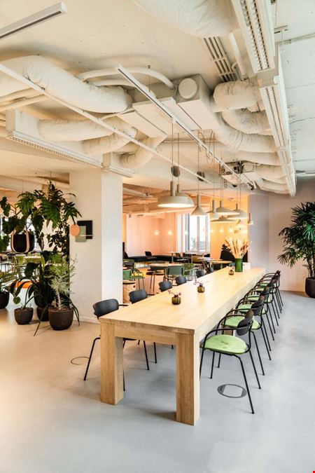 Silversquare  Stéphanie