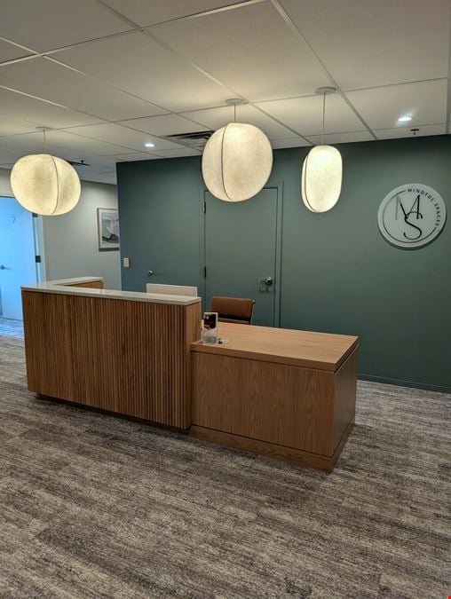 Mindful Spaces