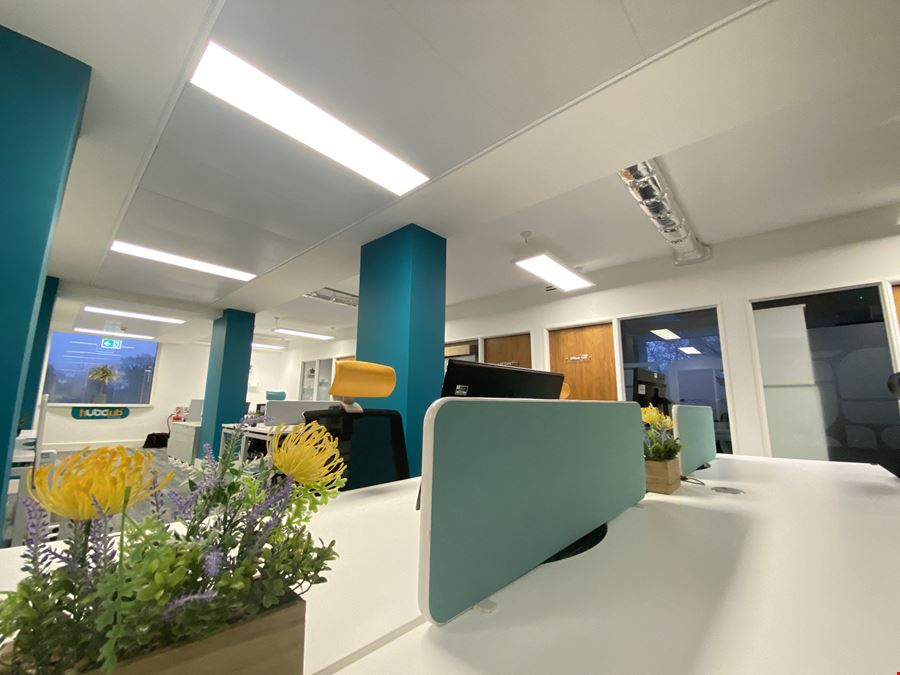 UBC - Brentford The Mille