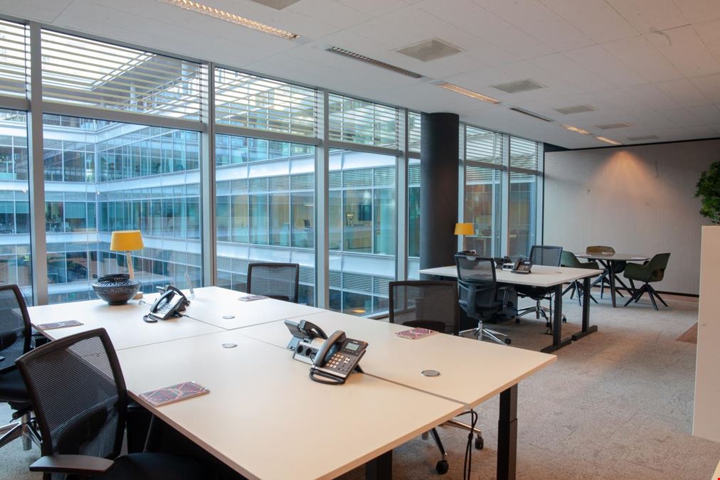 Tribes - Amsterdam SOM