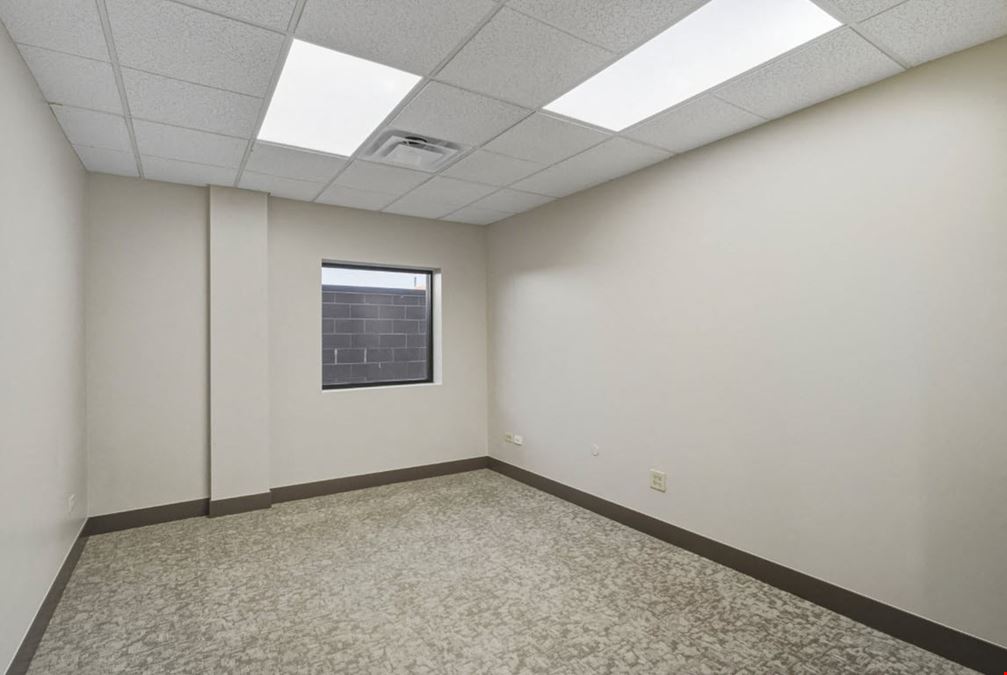 Studio 203