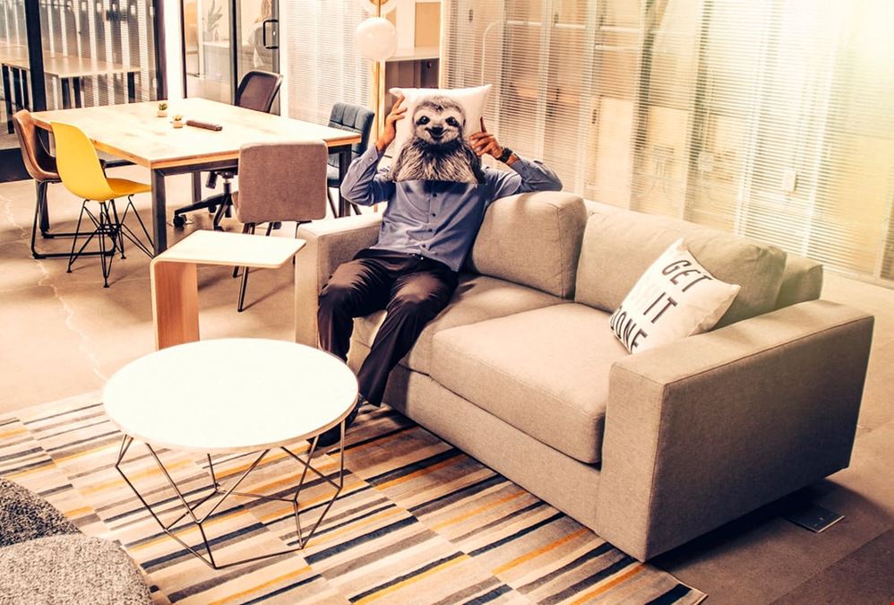 Bizhaus - Costa Mesa