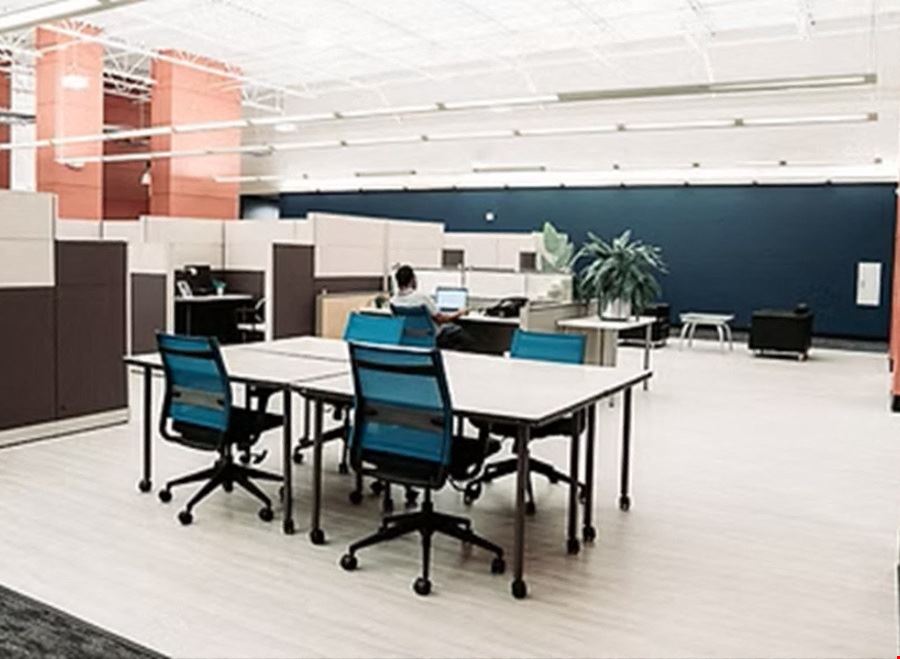 Open Desk Coworking Day Pass
