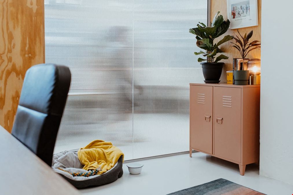 Hastings Commons - The Observer Building