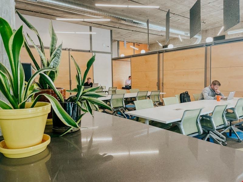 Coworking Day Pass