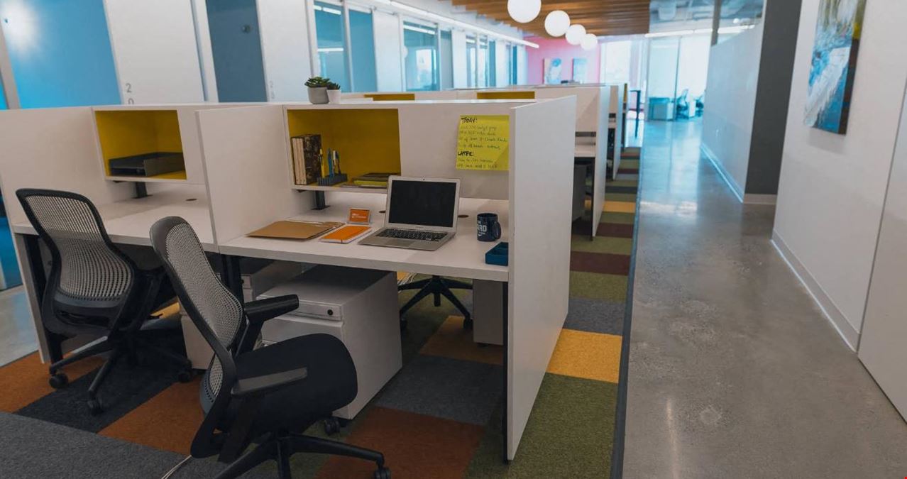 The Yard: Washington DC