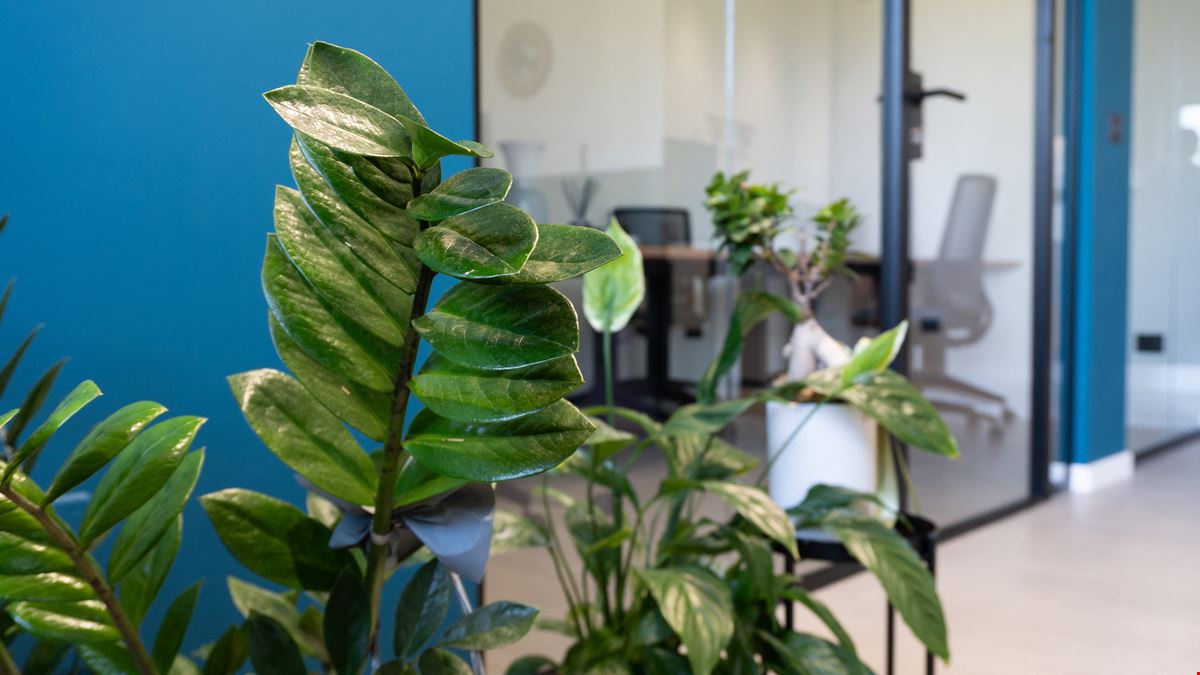 Coworking WithUs