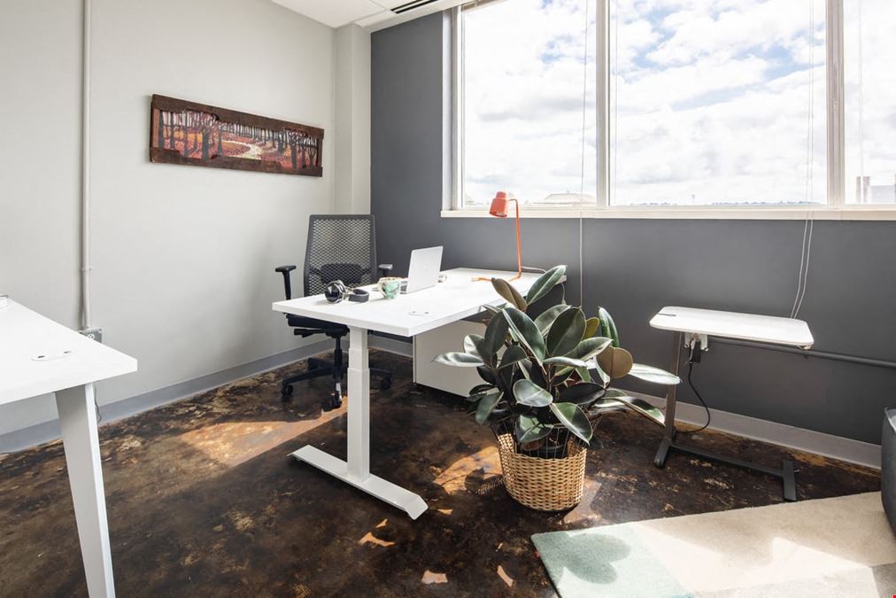 Medium Team Office