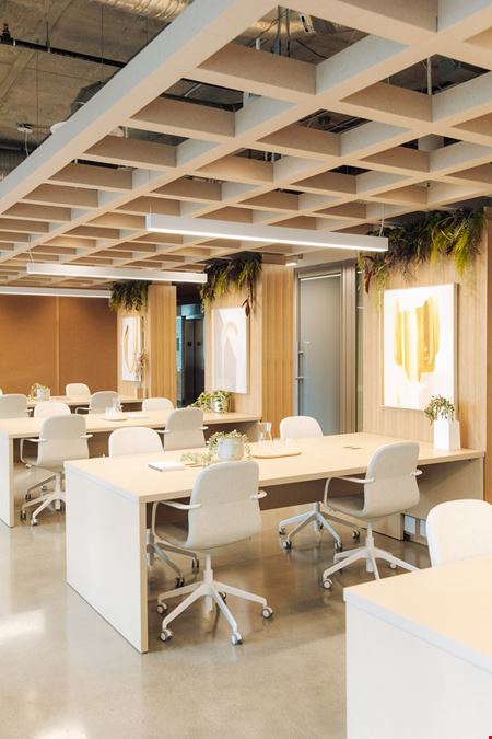 Pavilion Cowork - Stadium Beatty
