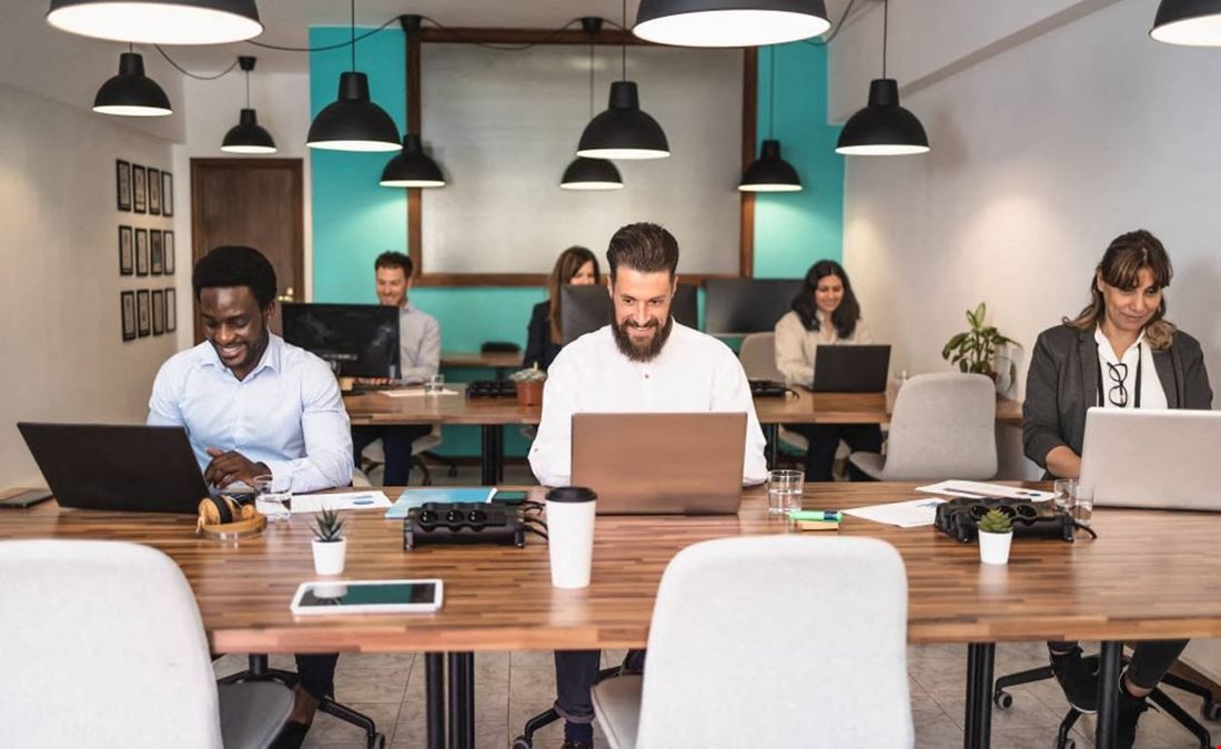 Zen Den Coworking - Tenerife