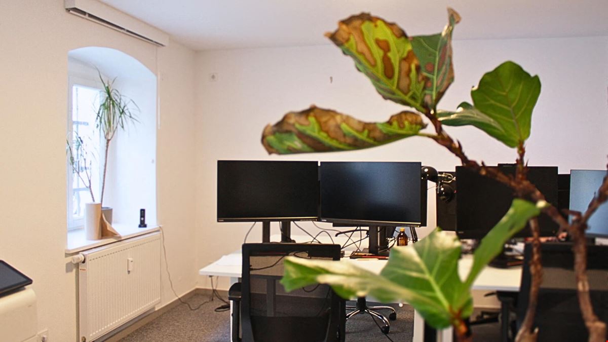 THE GATE BERLIN - Acker 4