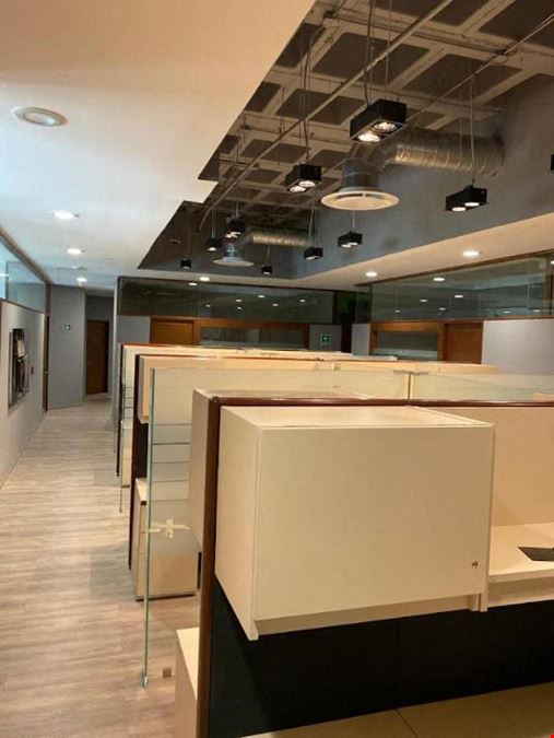 HUB De Negocios - Coporativo Alisos