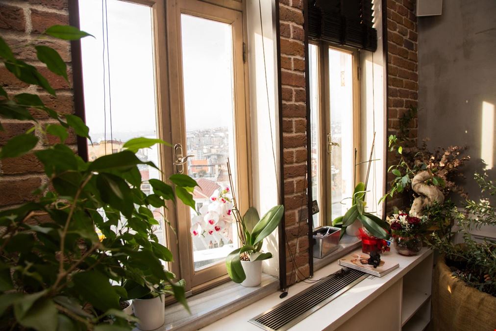 Kolektif House - Sishane