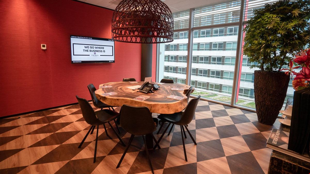 Tribes - Amsterdam SOM