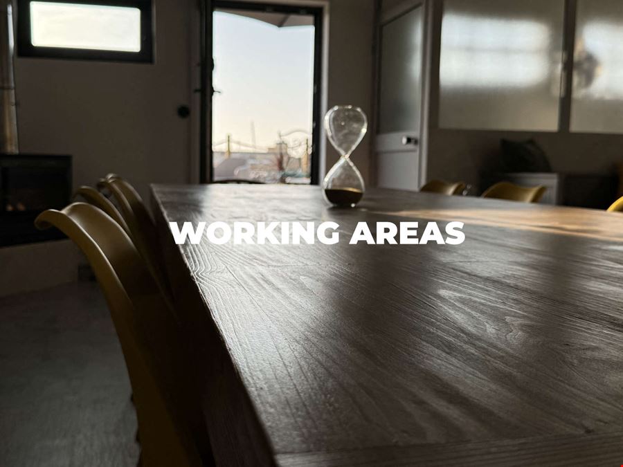 Octopus Concept Club