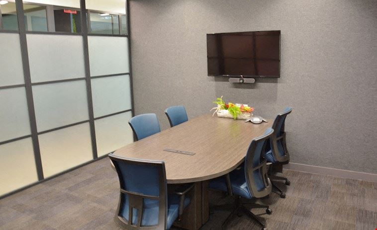 Viz Studio