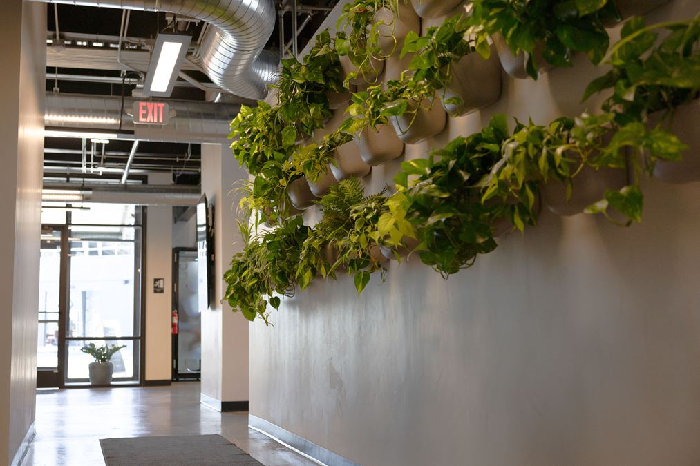 Work-Collective Midway