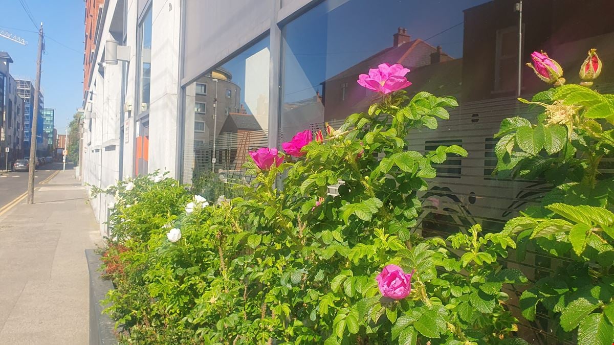 The Buckley Coworking